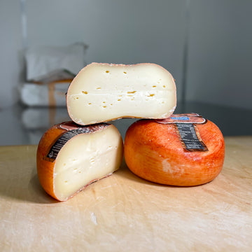 Pecorino Bischero