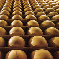 Parmigiano Reggiano 30 Mesi